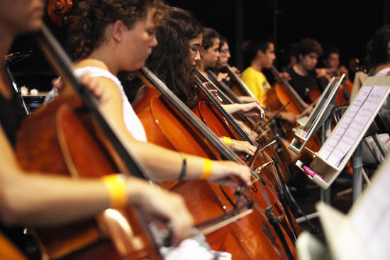 L’Escola Municipal de Música de Manlleu necessita incorporar professor/a de violoncel