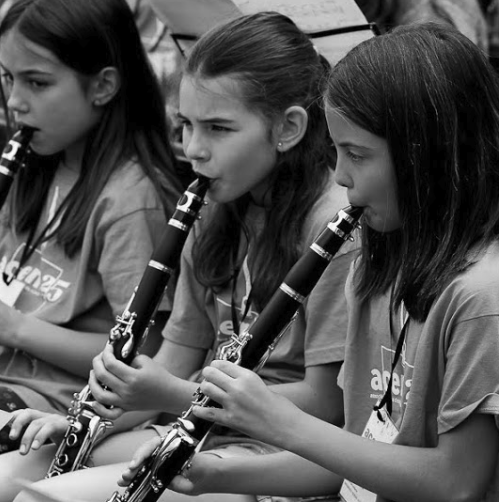 L’Institut de Música del Comú d’Andorra la Vella necessita professor/a de clarinet